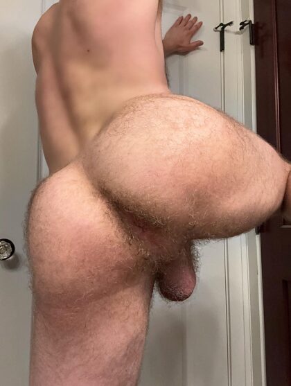 Your ass becoming hairy has gotta be the best part of manhood