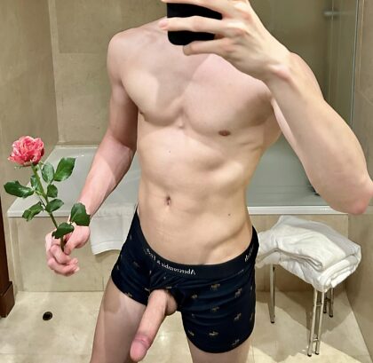 Wenn ich dir eine Rose und meinen dicken Schwanz anbieten würde, würdest du sie annehmen?