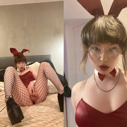 Voudriez-vous une Bunny girl avec une bite ?