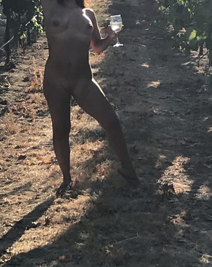Een wandeling in de wijngaard