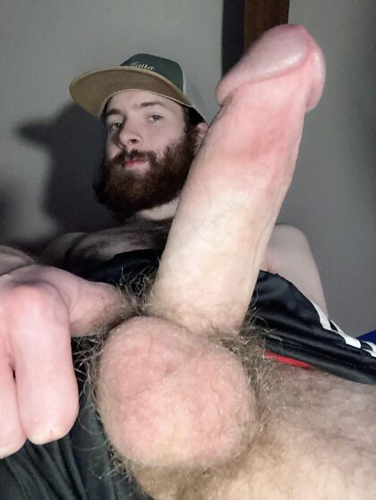 Would you still suck my cock and balls if I’m hairy? 