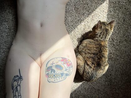 2 chattes au soleil ☀️