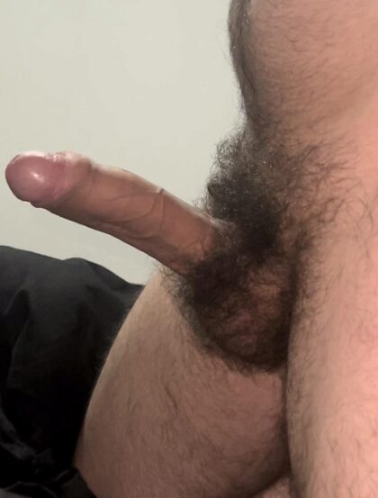 24 yrs old. Do you like my big hairy cock?Dms open 