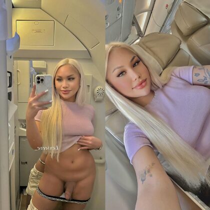 Voudriez-vous me sucer dans les toilettes de l'avion ?