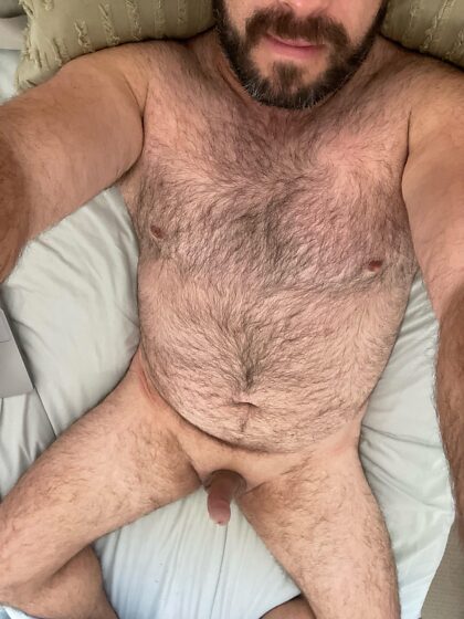 32 Aussie bi bear, home sick from work. Tell me what you think, DM’s open