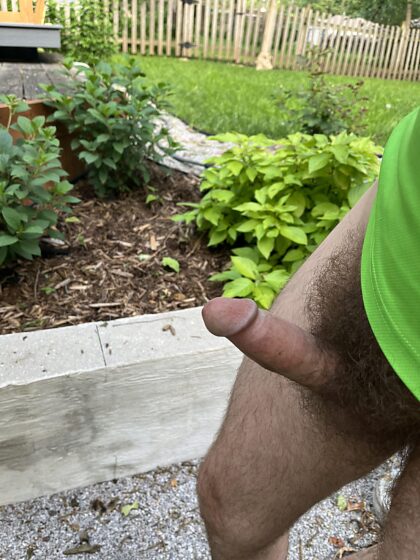 I need milked and the plants need watered. Takers?