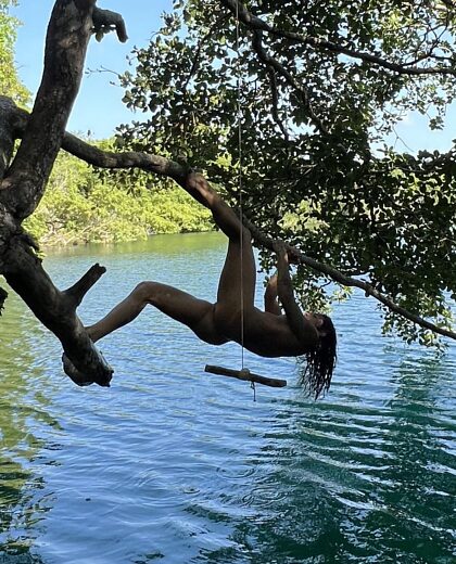 Wanna go tree climbing and then jump & land in the cenote?