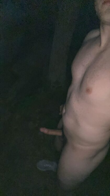 ¡Caminata desnuda por la noche!  Ojalá hubiera podido obtener mejores fotos