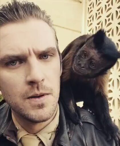 J'ai entendu dire que les mecs mignons avec des animaux sont à la mode ?  Alors je vous présente ma collection de Dan Stevens avec un toutou, des chatons et un singe capucin.