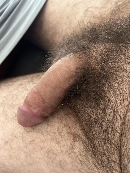 Not the biggest, not the thickest, not the hairiest but just right.