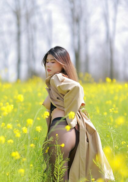 小暧 field of flowers