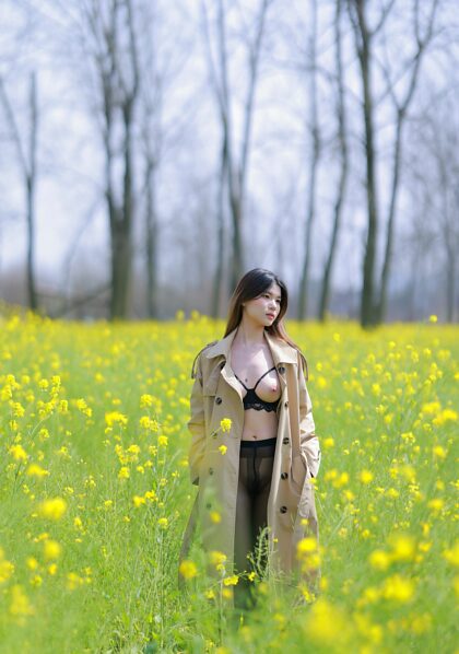 小暧 field of flowers