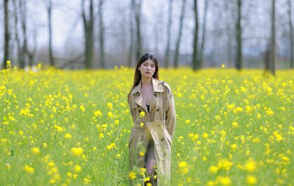 小暧 field of flowers