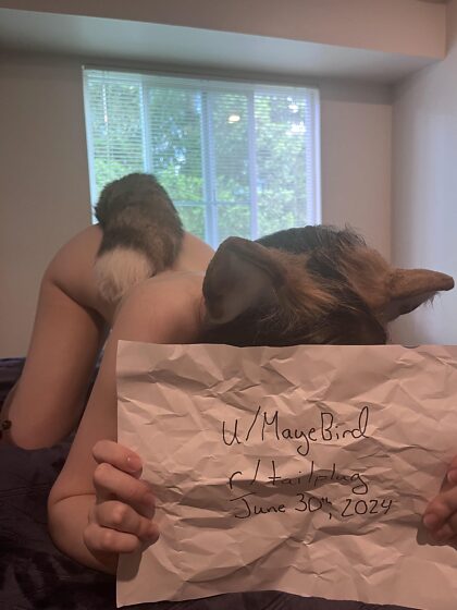 Kitty verification!