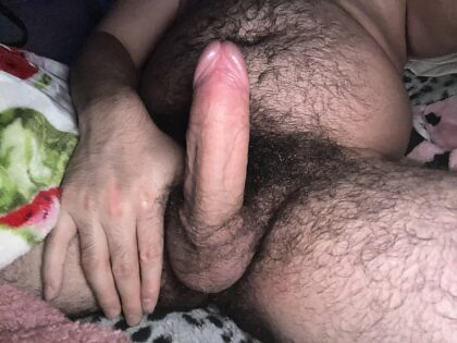 I’ve been told recently that I’m a bear so thought I’d give posting on here a shot. What do u think?