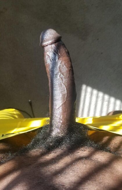 Yellow pants black cock 