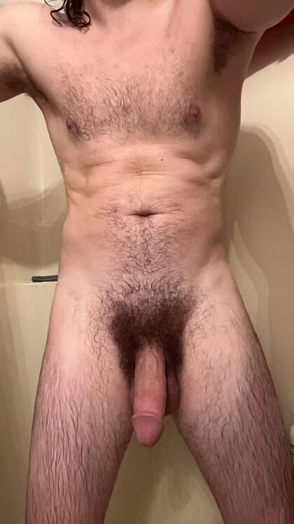 What do you think of my Bush?