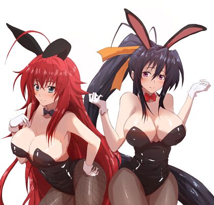 Rias et Akeno, fille lapine