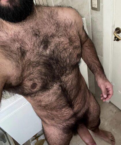 Who likes their bears hairy?