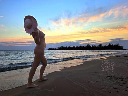 日曜の夕日の海岸線セット