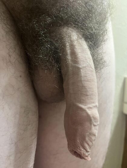 a hairy bro dick