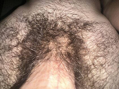 everyone I know is telling me to shave my bush, should I give in?