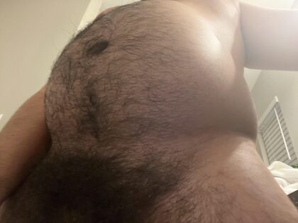 What do u think of my hairy Mexican cock? Hard to soft