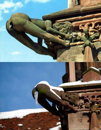 Gargouille sur la cathédrale de Fribourg (Freiburg Münster), Allemagne.