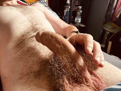 Do we like the hairy and slender chap?