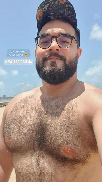 Dia do urso na praia