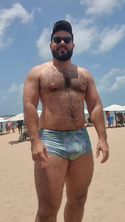 Journée de l'ours sur la plage