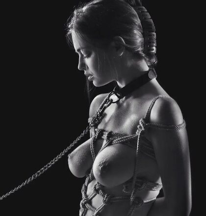 Sexy fucking girl bound and collared with a leash