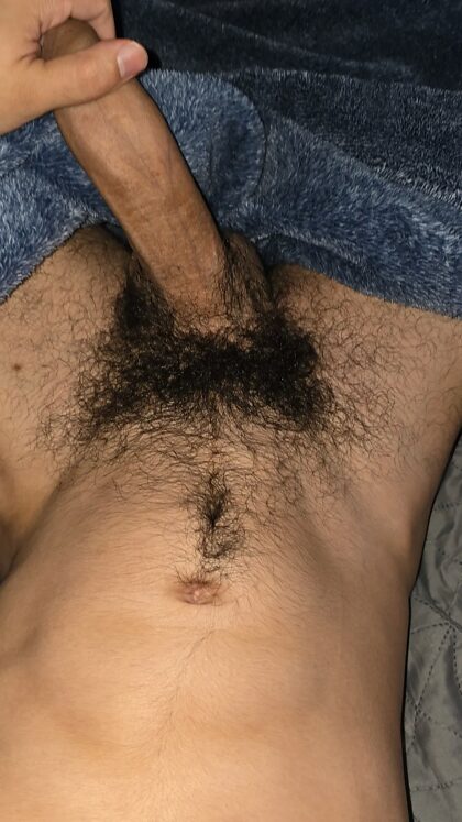 Peludo o suficiente ou deixar crescer?