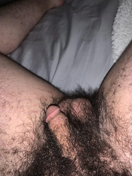 ¿Suficientemente peludo?