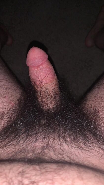 ¿Suficientemente peludo?