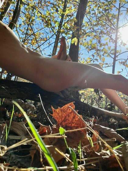 J'ai vraiment apprécié Peak Leaf l'autre jour