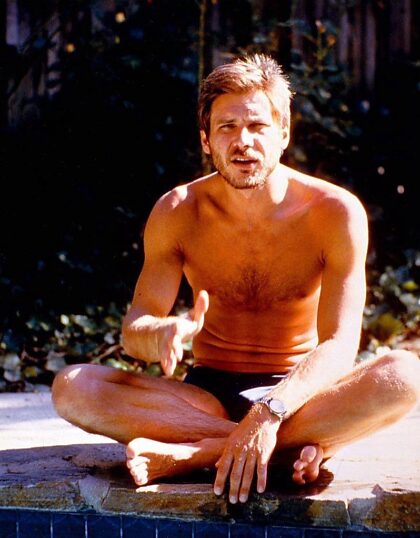 Mi primer amor, Harrison Ford