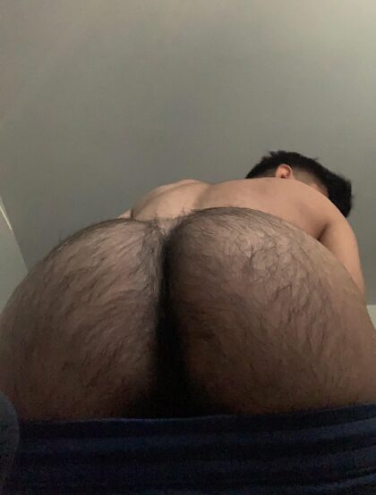 do you like hairy boys?