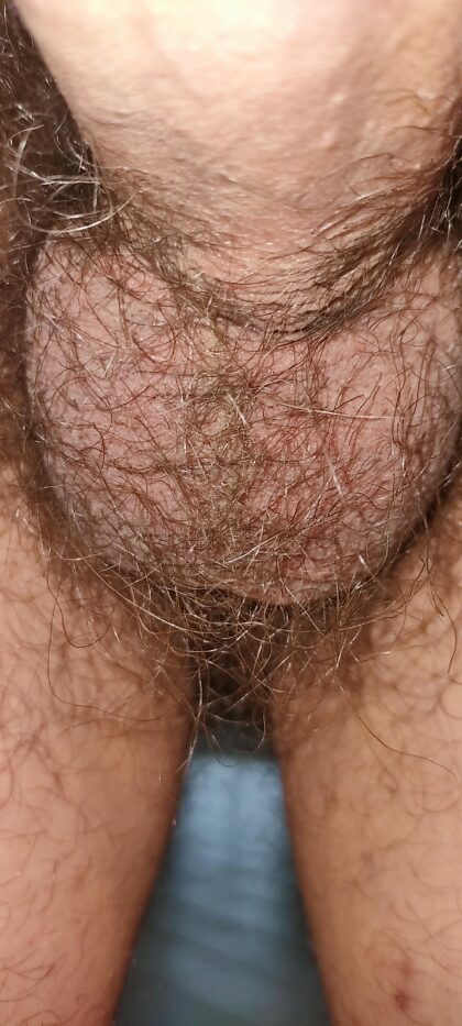 27 male / if you like hairy penis, Come in private chat. I have telegram as well.