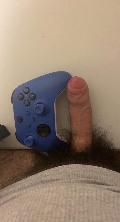 Anyone like bushy gamer dick?