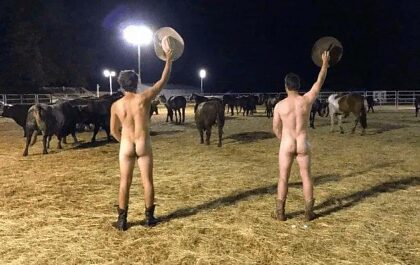 Nackte Cowboys bei Nacht