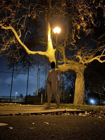 Parque de la ciudad al anochecer