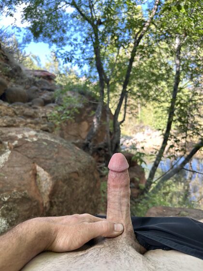 Pénis moyen se relaxant au bord du ruisseau