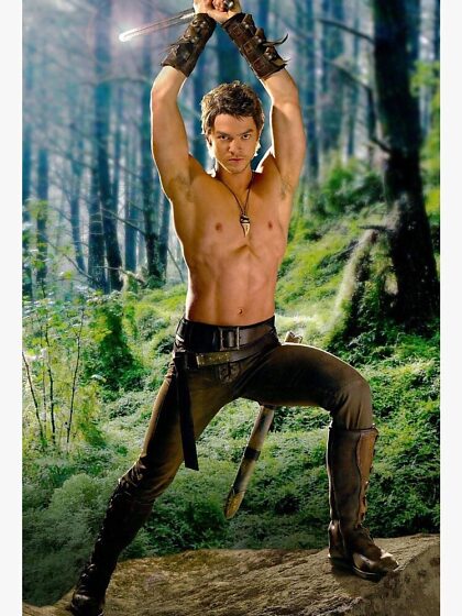 Quelqu'un regardait Legend of the Seeker ? Je suis presque sûre que le corps sexy de Craig Horner a contribué à mon éveil gay à 17 ans.