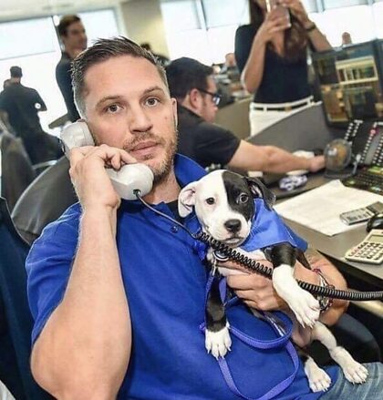 トム・ハーディと犬