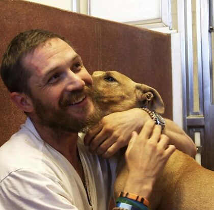 トム・ハーディと犬