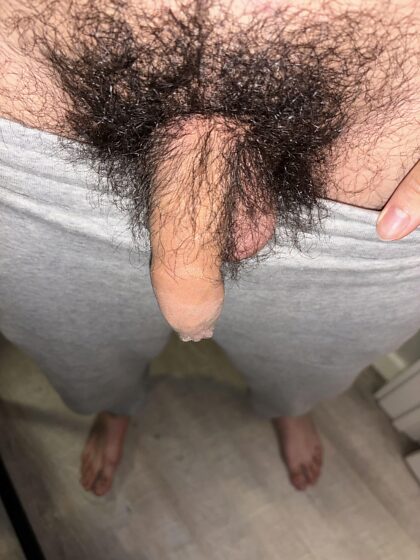 Hairiest cock on my wrestling team