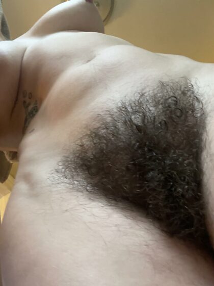 This curl bush wants to sit on your face. May I?