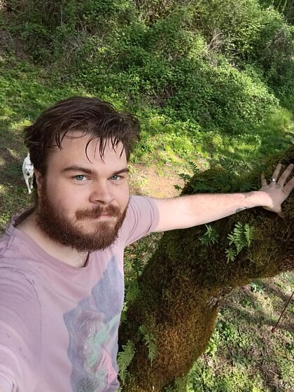 Ours dans son habitat naturel