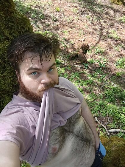 Ours dans son habitat naturel